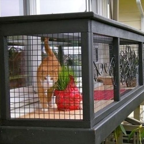 Balcony Catio My Indoor Cat
