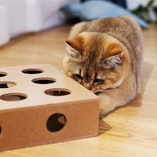 best food puzzles for cats