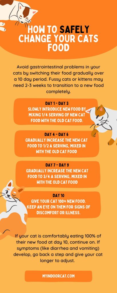 How to Switch Cat Food | Transition Wet or Dry Food Safely