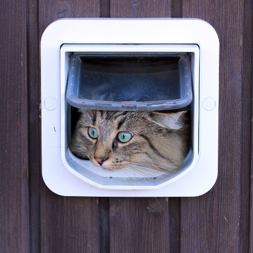 cat flap tunnel through wall