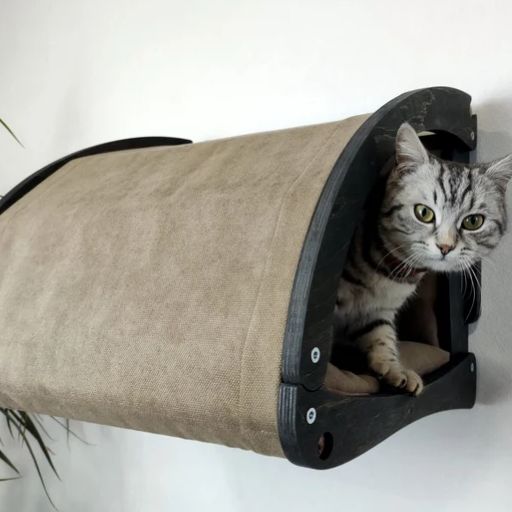 cat tunnel in wall